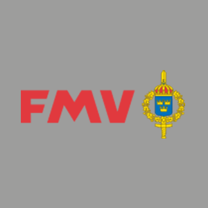 FMV